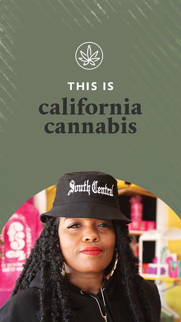 Cannabis Equity - Department Of Cannabis Control